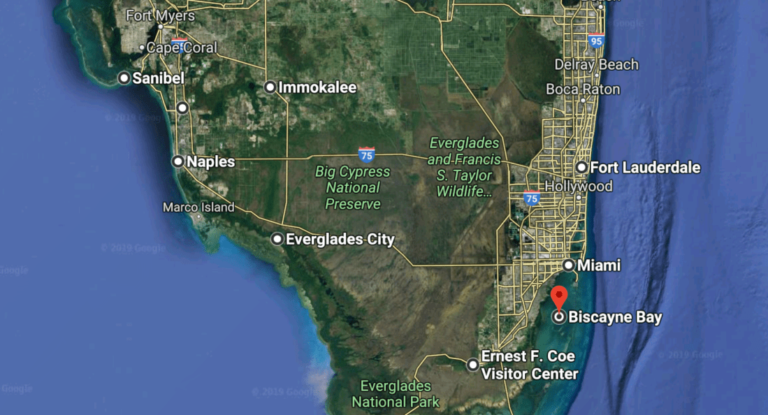 Screen Shot 2019-02-11 at 11.14.17 PM